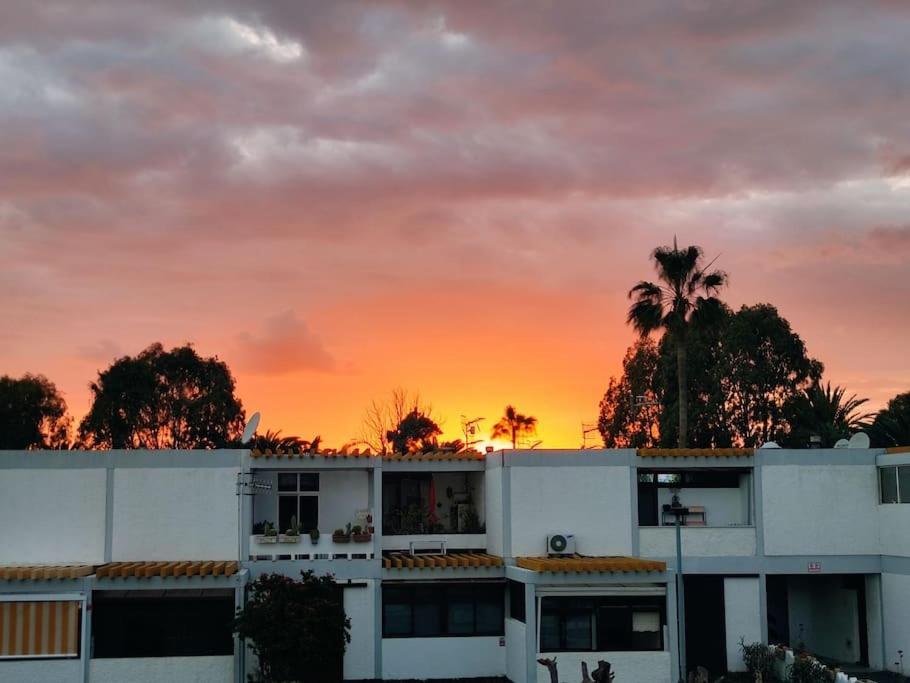 Apartament El Drago *